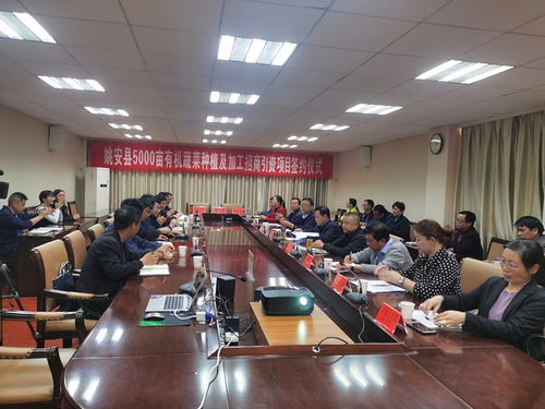 姚安县人民政府 姚安县人民政府与深圳成武金石农业开发 签署战略合作协议