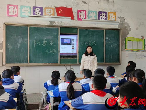 成武县开发区达驰实验小学开展安全教育活动