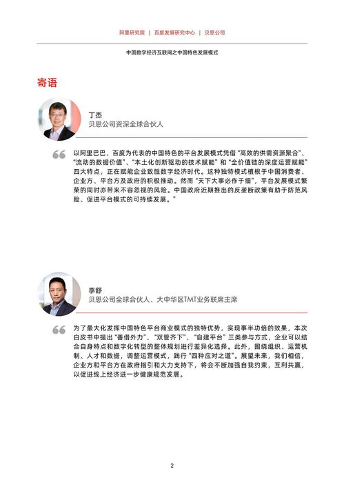 数字经济互联网之中国数字化发展模式