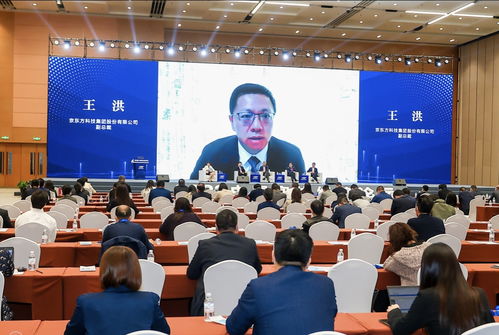 京东方副总裁王洪 双链条推动boe工业互联网业务加速发展