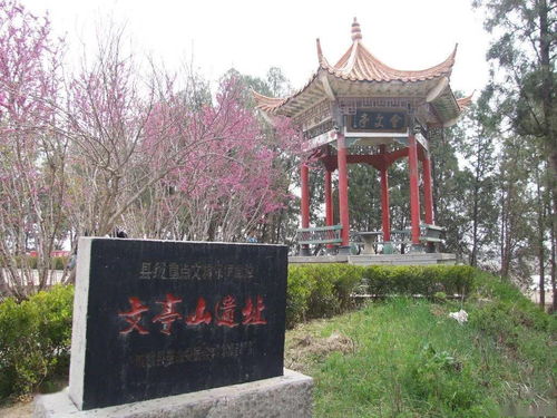 菏泽的小伙伴,你被这些水城 啦 快看看