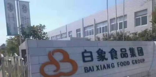 白象必成为下一个鸿星尔克,那些被网友救活的民族企业