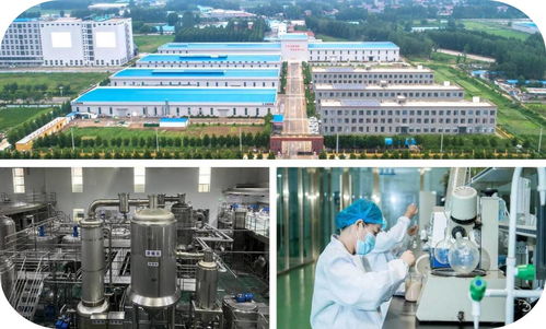 济宁市2023年下半年绿色低碳高质量发展现场观摩会 山东天威健康肉类食品生产项目
