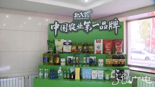 筑梦 十四五 互联网 助力龙江农产品走上网销时代