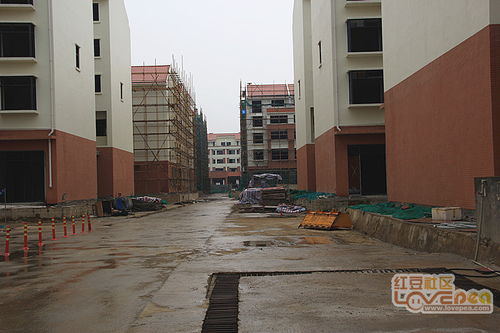新黄田,在建设发展中 记实图片
