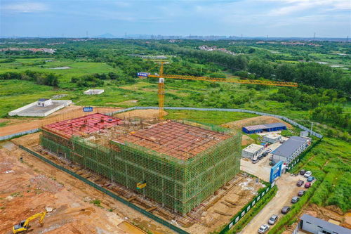 武汉现代农产品加工产业园建设全面推进