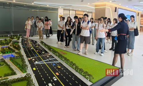 打造青年发展型城区,大学生到机关企事业单位实习实践