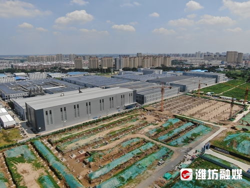 把 愿景图 变为 实景图 寿光市文家街道加快塑造高质量发展新格局