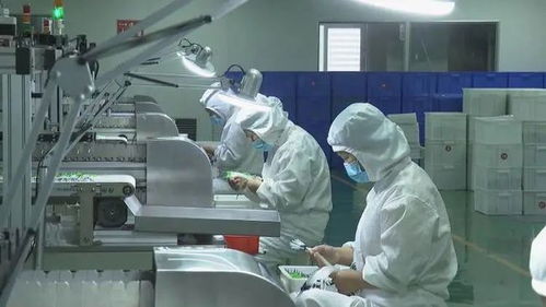 工业经济挺起成武高质量发展脊梁